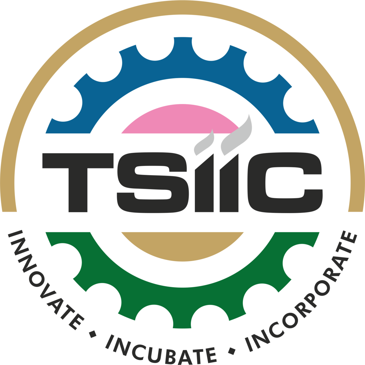 TSIIC_Logo